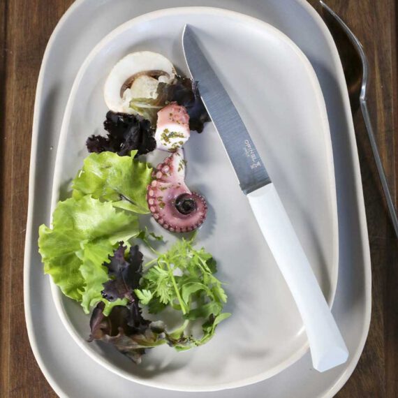 סכין שולחן Bon Appetit opinel לבן ענן לכל שולחן וארוחה