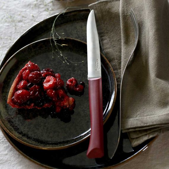 סכין שולחן Bon Appetit opinel בשלל צבעים